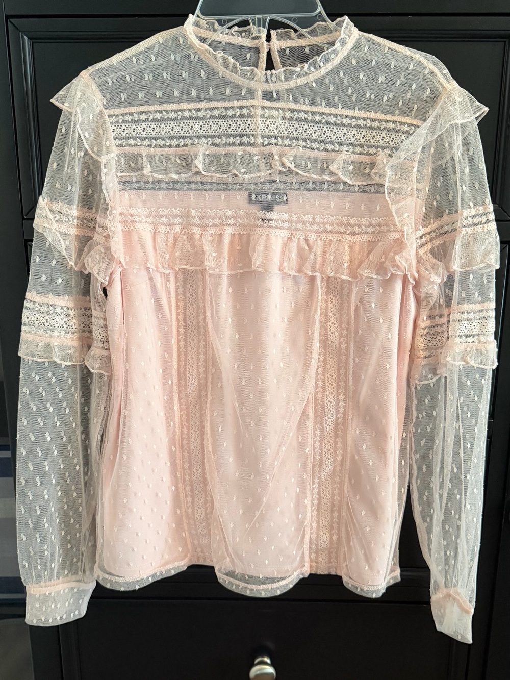 Express Sheer Pink Swiss Dot Ruffle Blouse